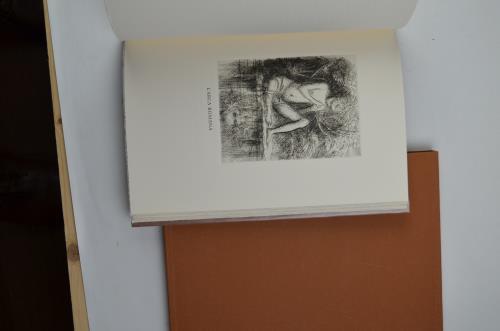 Liriche. Tratte dall'Alcione. Il terzo libro delle Laudi - Gabriele D'Annunzio - copertina