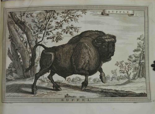 Histoire générale des voyages, ou nouvelle collection de toutes les rélations de voyages par mer et par terre, qui ont été publiées jusqu`à present dans les differéntes langues de toutes les nations connues: contenant ce qùil y a de plus remarquable - Antoine-François Prévost - copertina