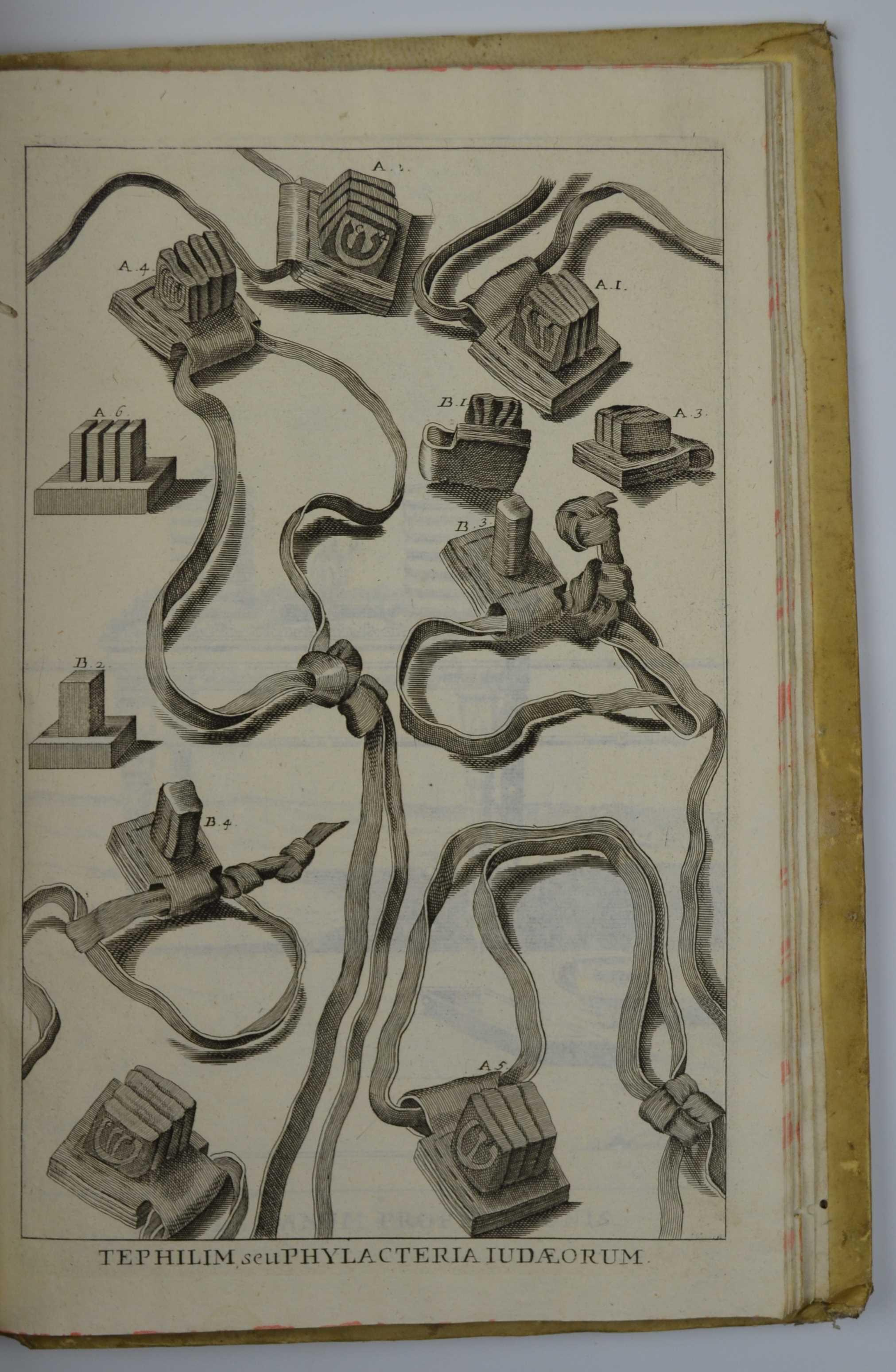 Studio bibliografico Benacense