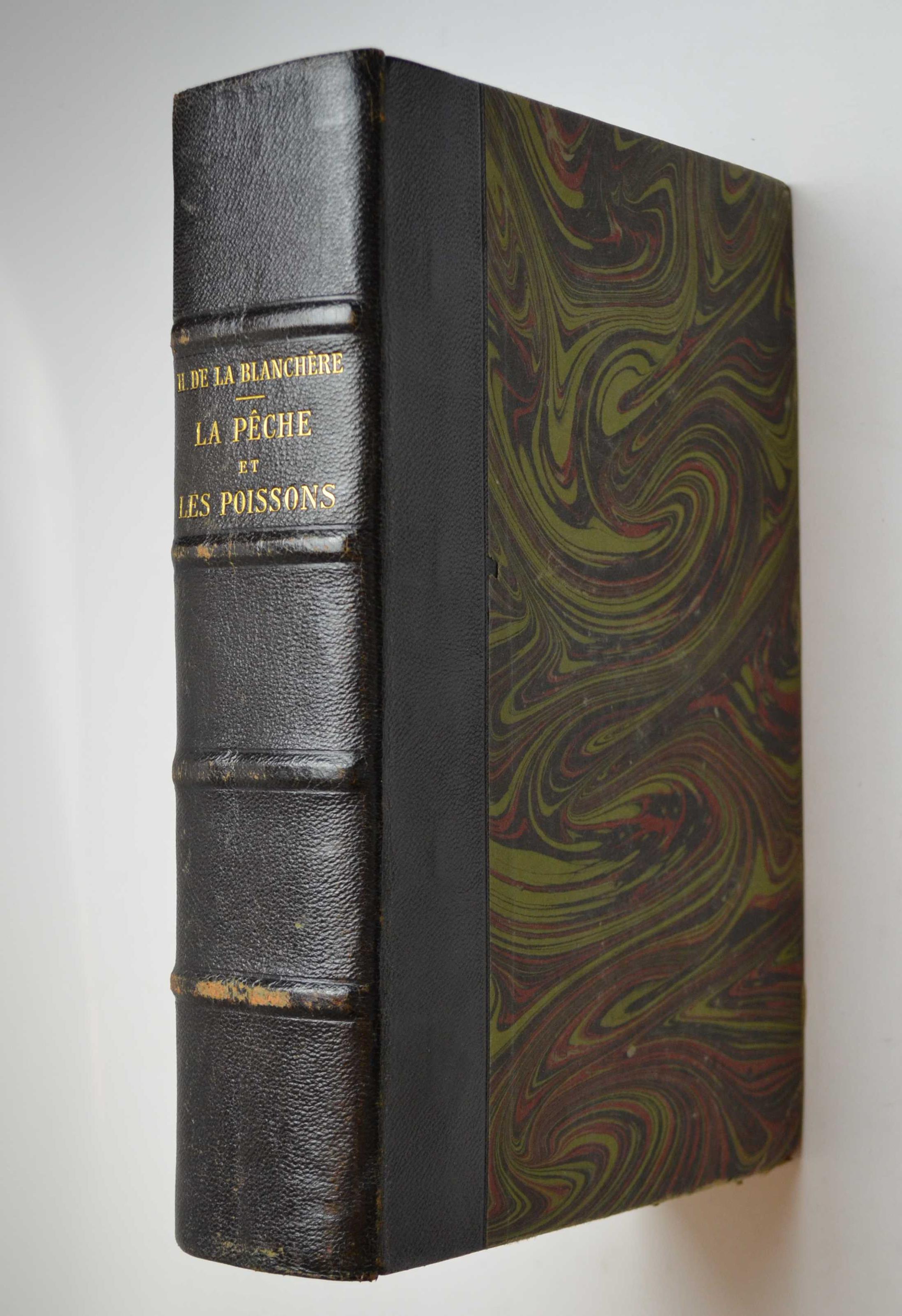 La peche et les poissons. Dictionnaire général des peches Accompagné d'un supplememt par Ed. Renoir, Ryvez et Lucien Jouenne.