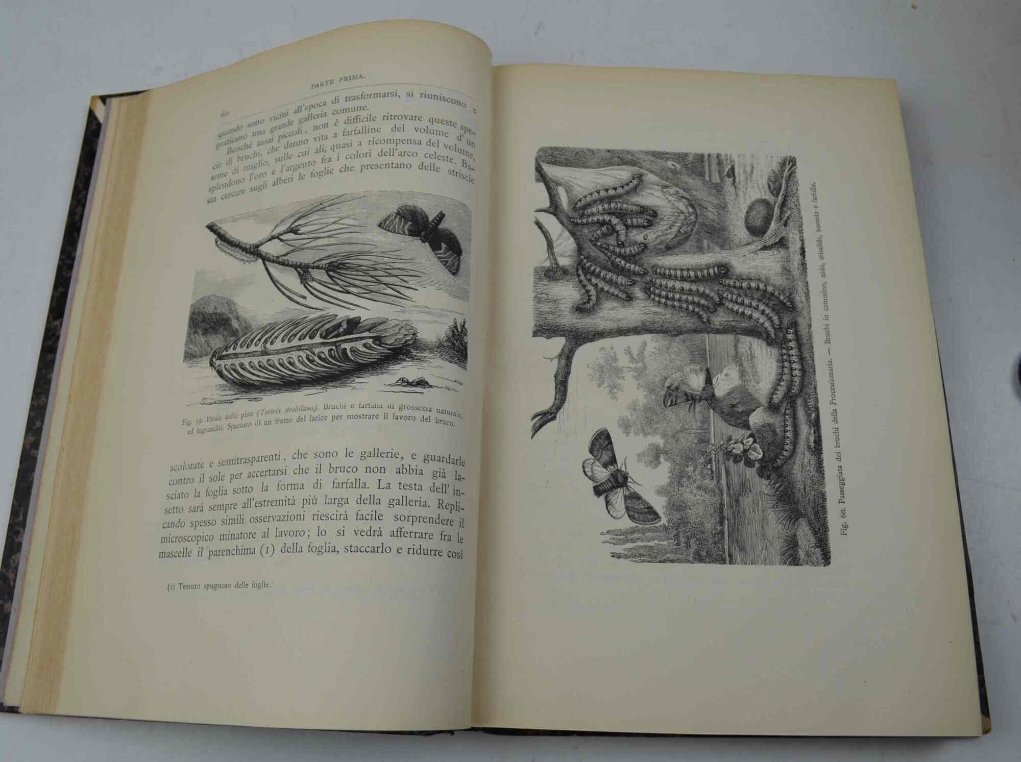 Studio bibliografico Benacense