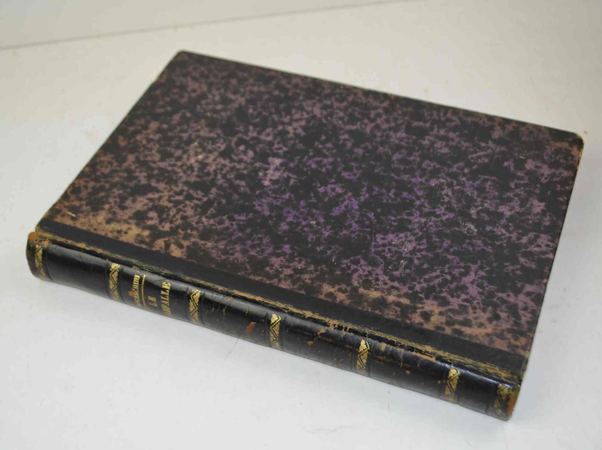 Le Farfalle. Saggio popolare di storia naturale sugli insetti… Nuova edizione riveduta dall'autore con numerose aggiunte e illustrata da 320 Incisioni