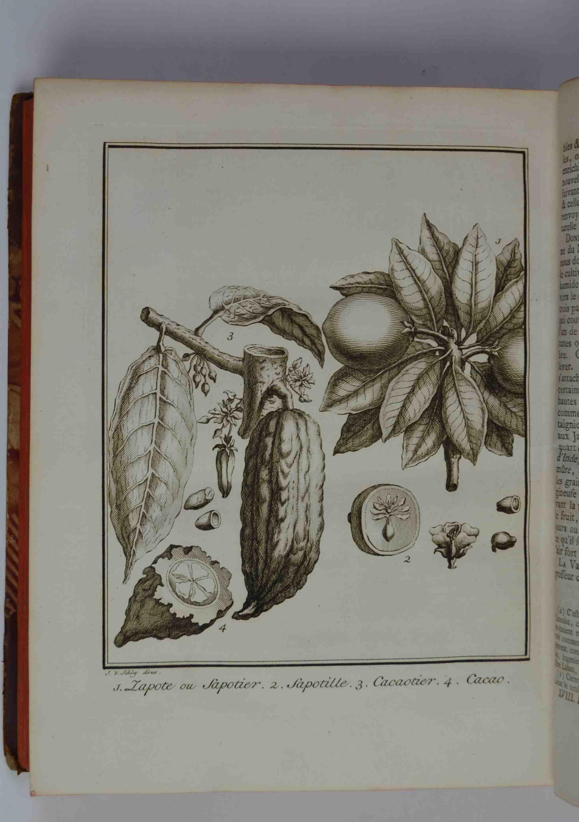 Studio bibliografico Benacense