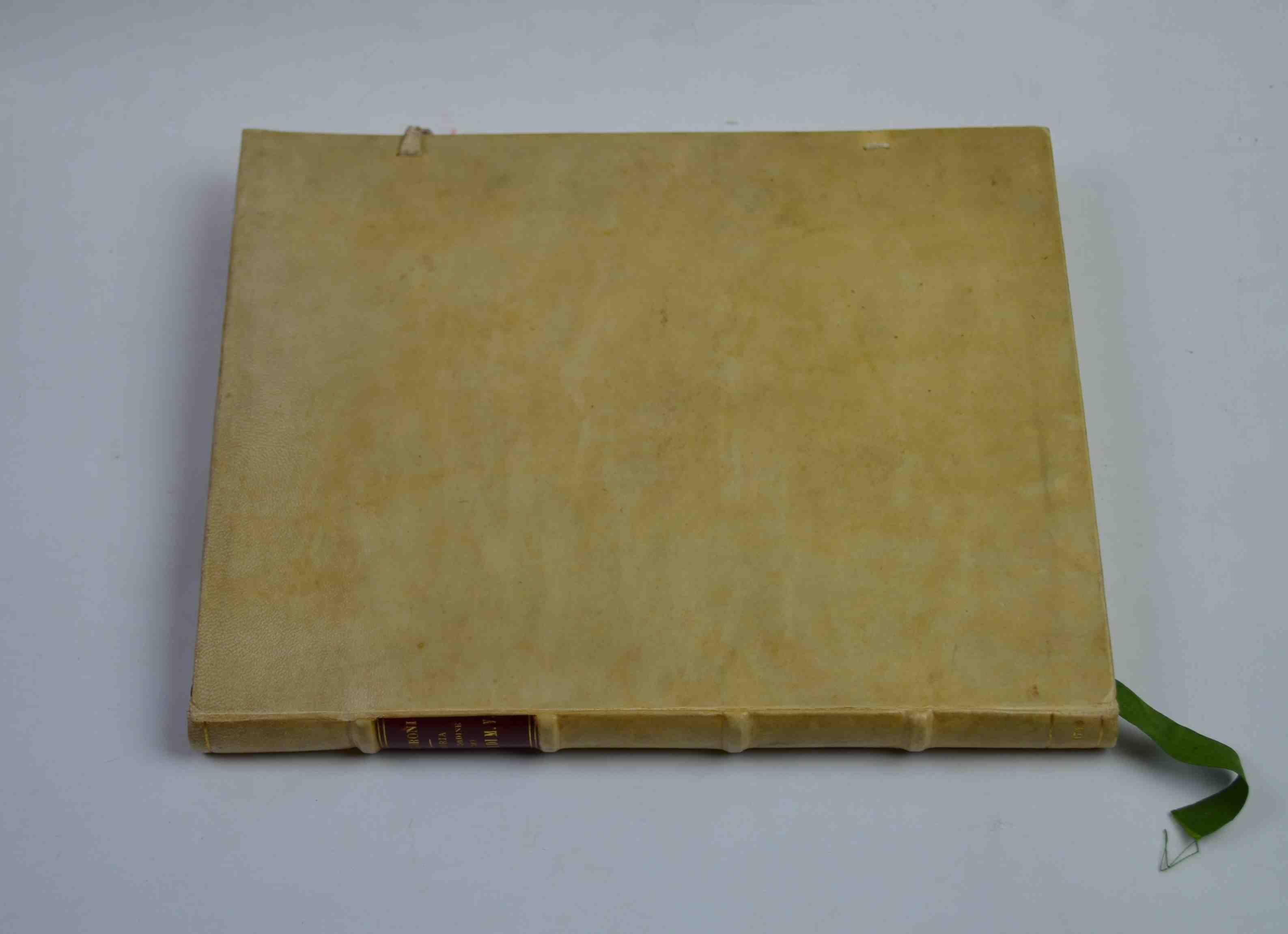 Storia dell'origine, e fondazione del sagro ordine de' servi di Maria Vergine colla vita de' beati Buonfigliuolo Monaldi, Buonagiunta Manetti, Manetto dell'Antella, Amadio Amidei, Uguccione Uguccioni, Sostegno Sostegni, ed Alessio Falconieri tutti se
