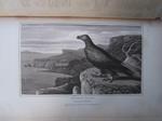Zoography or the Beauties of Nature Displayed in select descriptions from the animal, and vegetable, with the addiction from the mineral kingdom