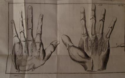 Compendium anatomicum totam rem anatomicam brevissime complectens - Lorenz Heister - copertina