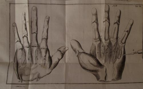 Compendium anatomicum totam rem anatomicam brevissime complectens - Lorenz Heister - copertina