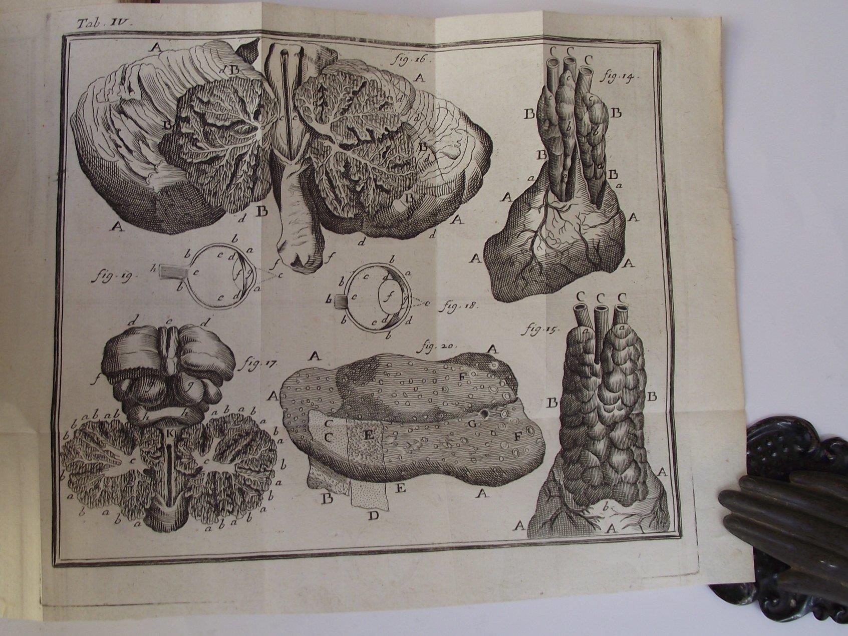 Studio bibliografico Benacense