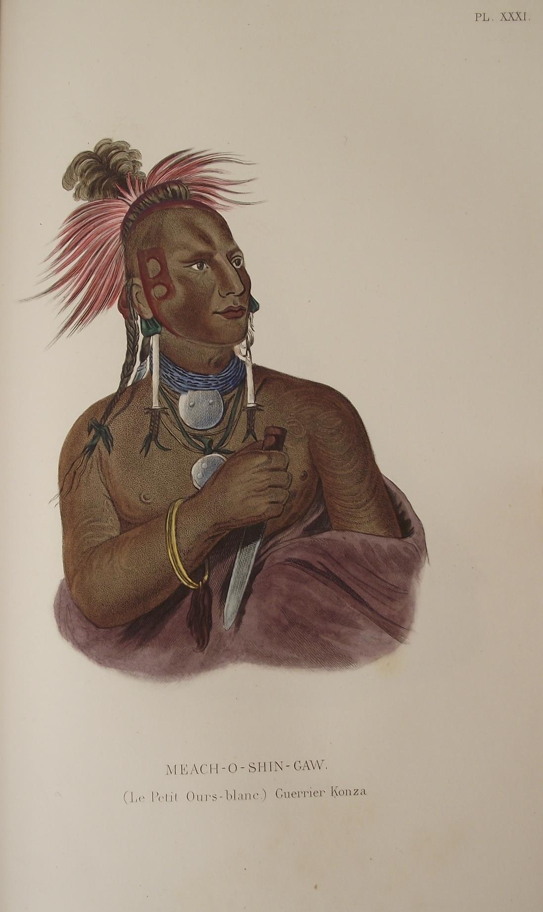 Histoire naturelle de l'homme comprenant des recherches sur l'influence des agens physiques et moraux considérés comme causes des variétés qui distinguent entre elles les races humaines