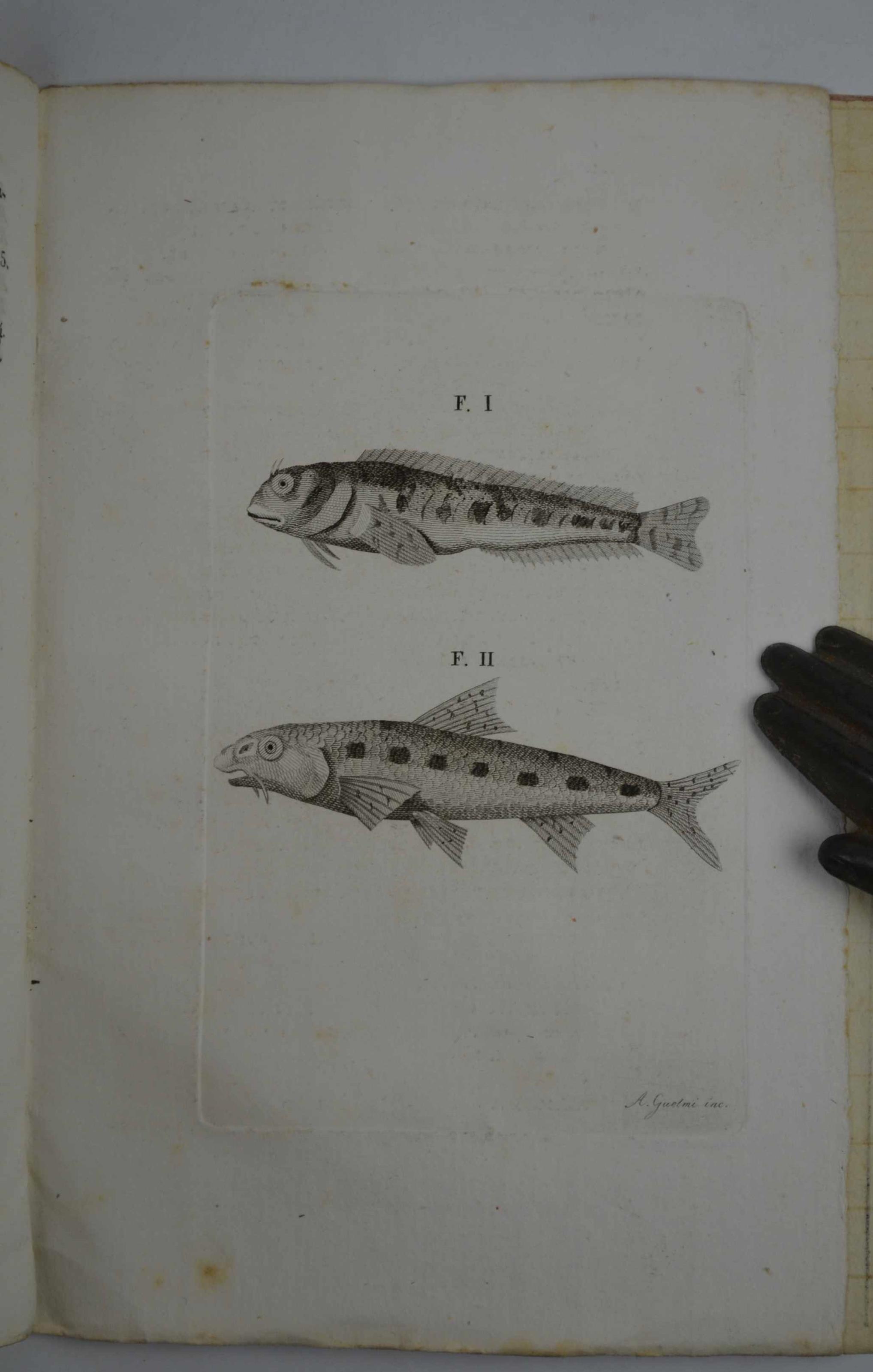 Studio bibliografico Benacense