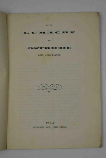 Delle lumache ed ostriche dell'Agro Pavese - Pellegrino Strobel - copertina
