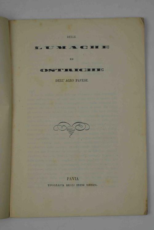 Delle lumache ed ostriche dell'Agro Pavese - Pellegrino Strobel - copertina