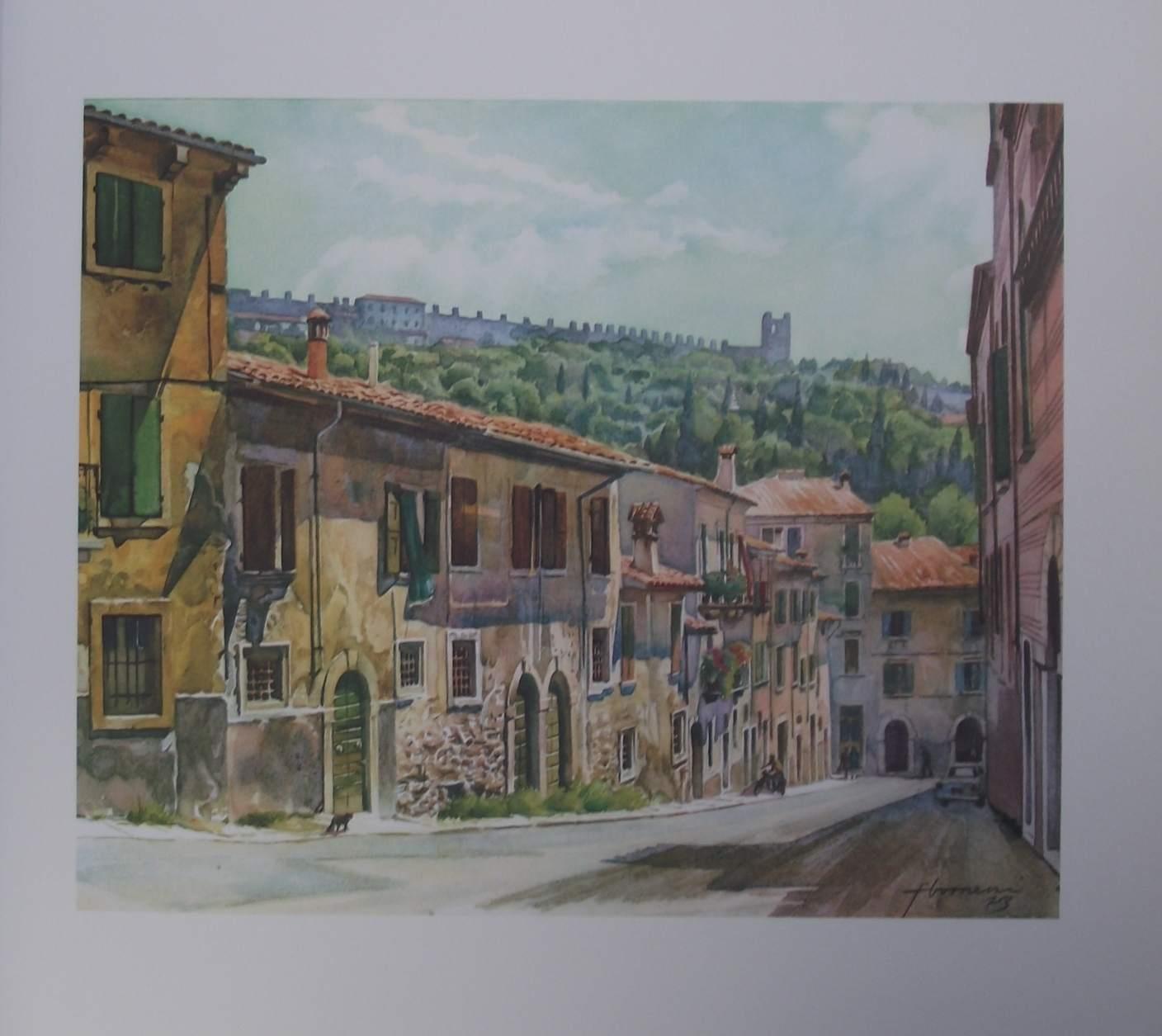 Colori veronesi