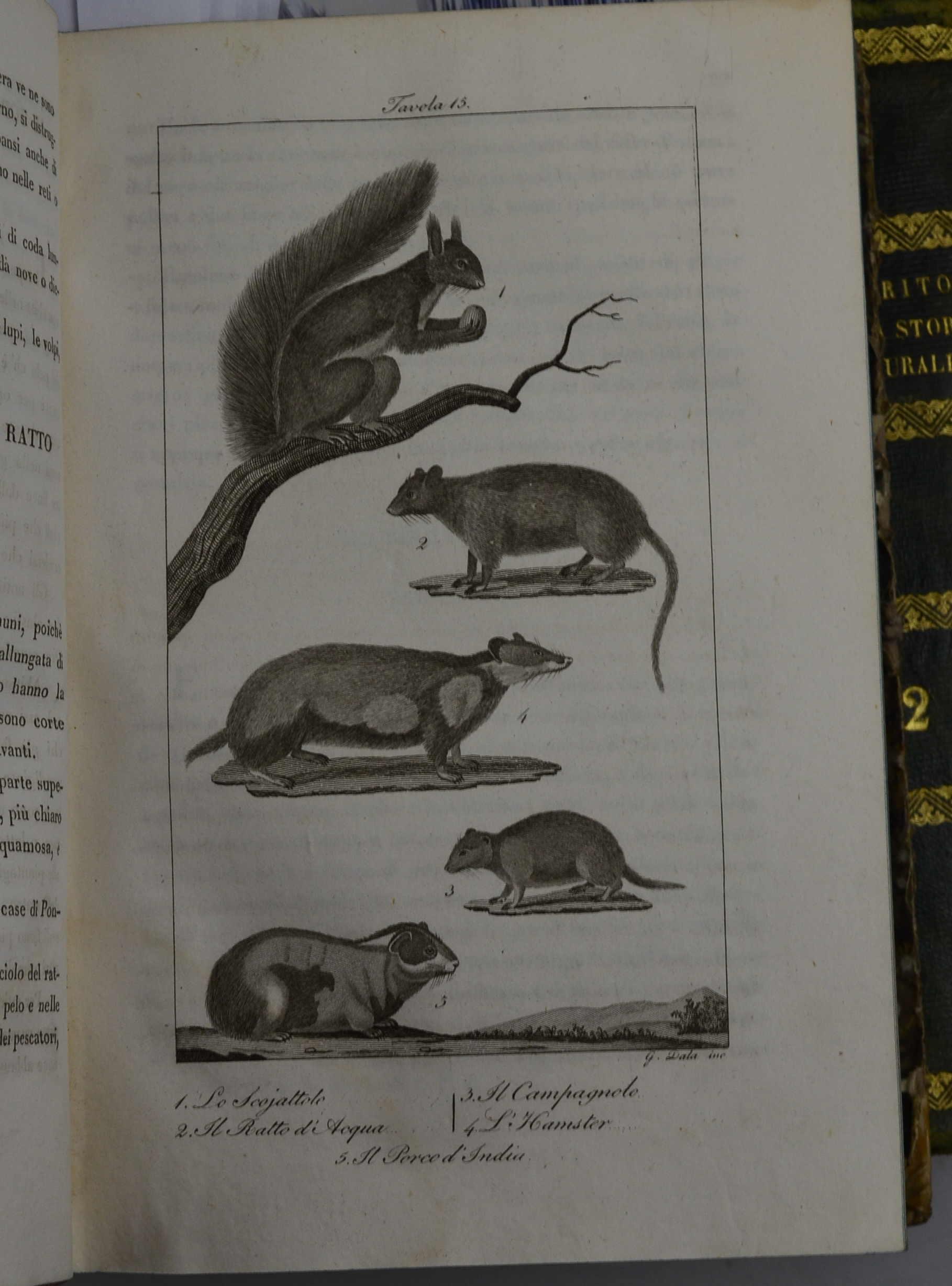 Studio bibliografico Benacense