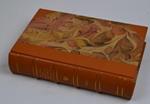 Della Rovina di una monarchia. Relazioni storiche tra Pio VI e la corte di Napoli negli anni 1776-1799 secondo documenti inediti dell'Archivio Vaticano