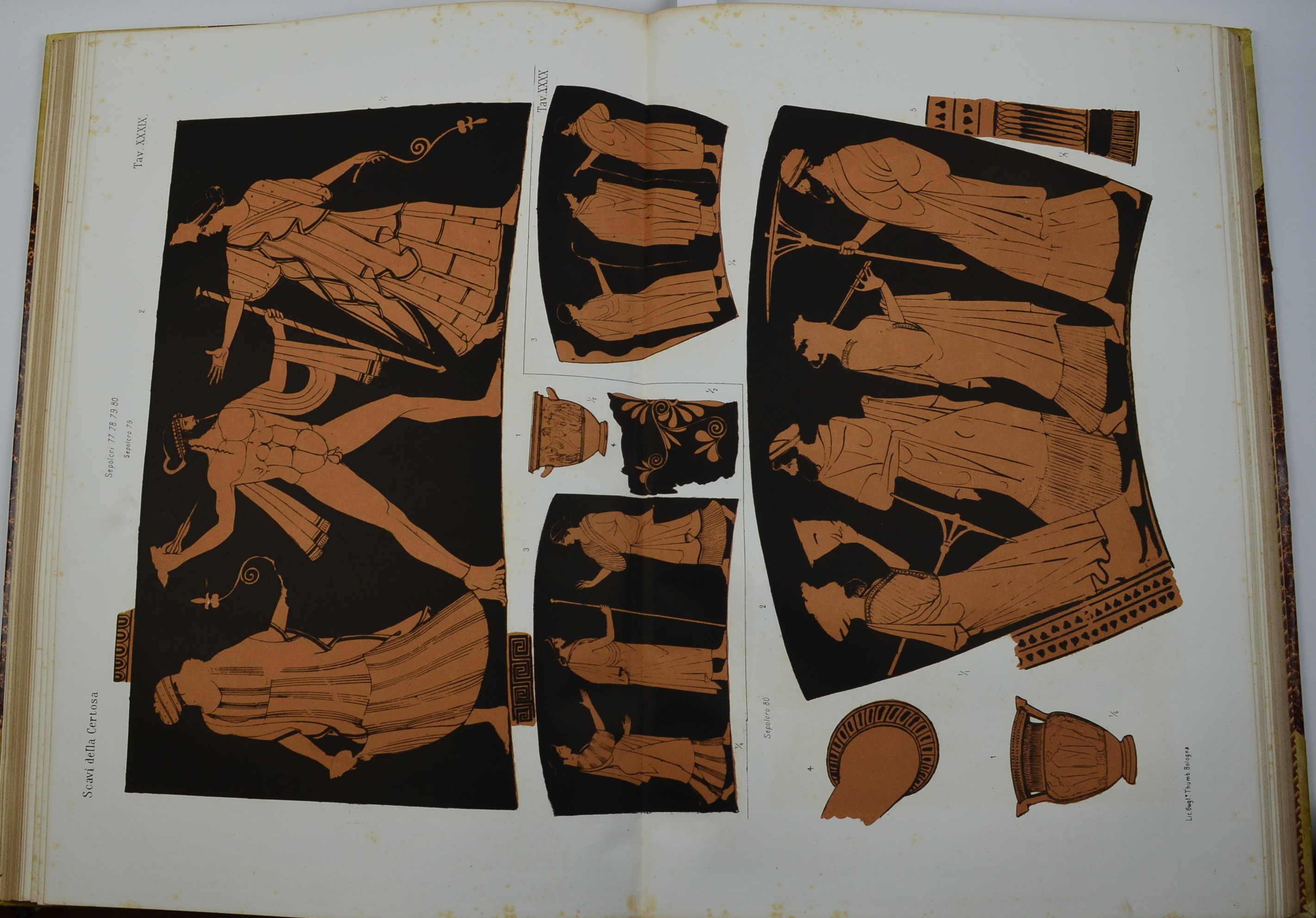 Gli scavi della Certosa di Bologna descritti e illustrati