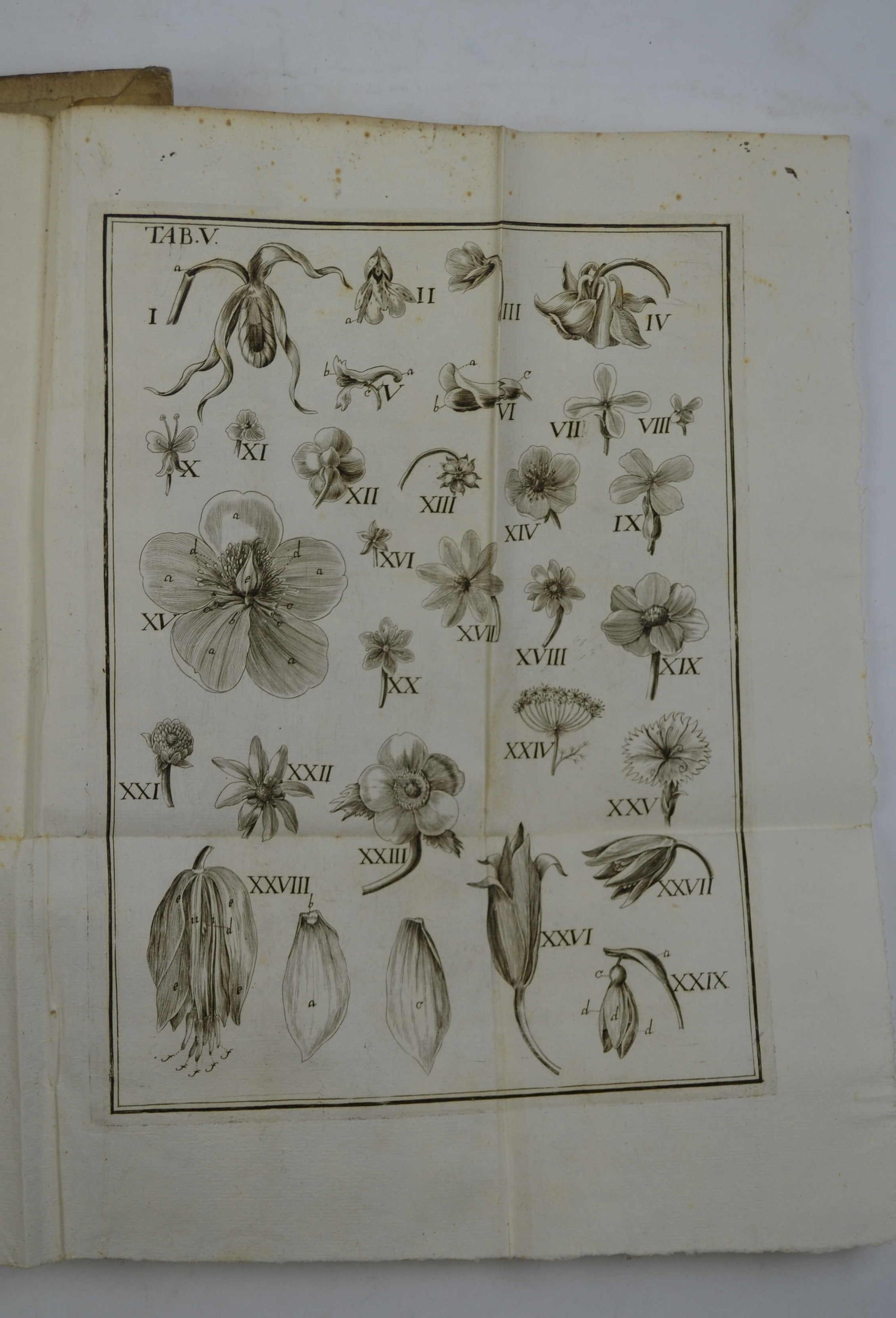 Anthologia sive de floris natura libri tres plurimis inventis, observationibusque, ac Aereis Tabulis ornati.