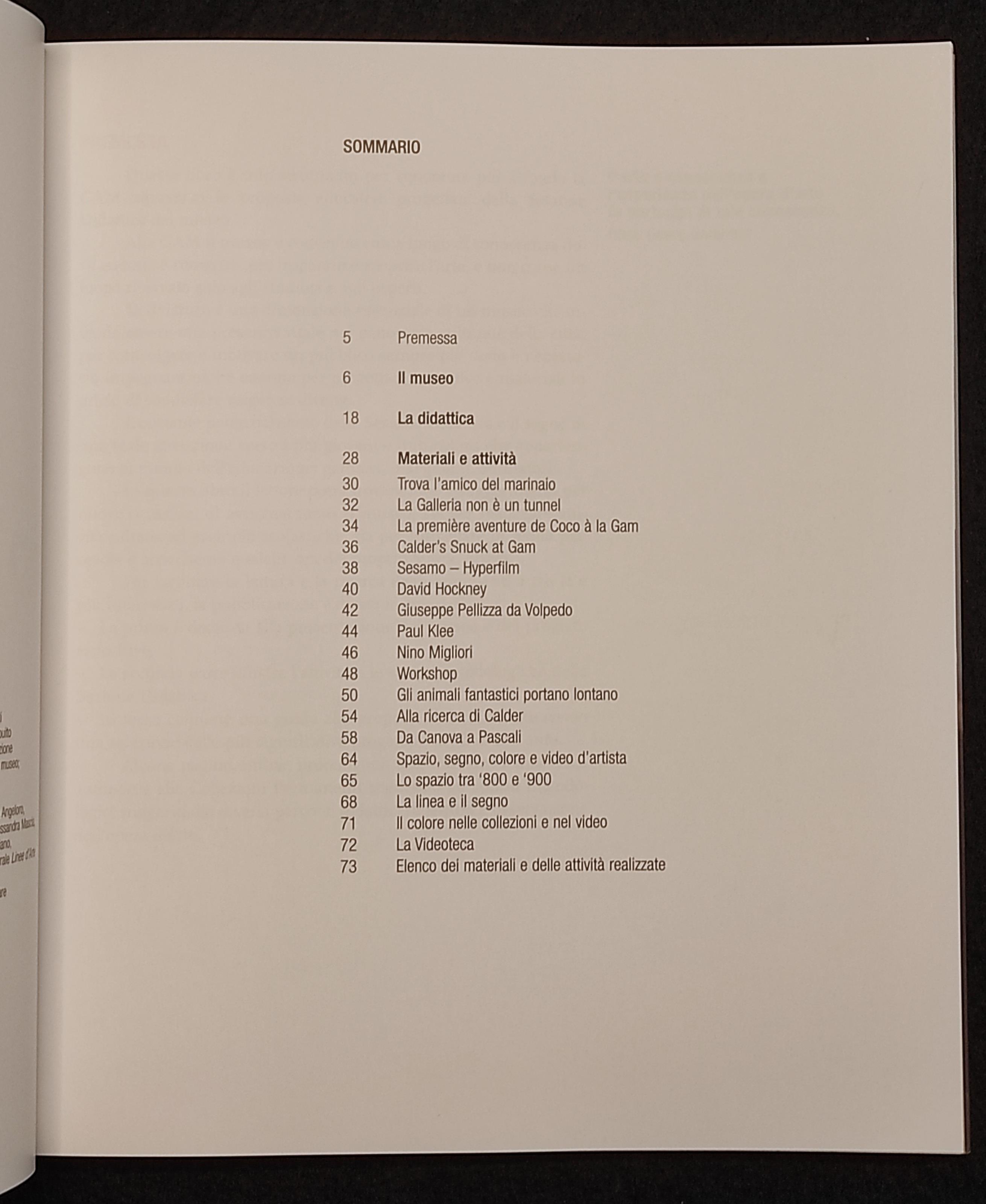 Il Museo Insegna - Esperienza Didattica Alla Gam - Ed. Gam - 2002