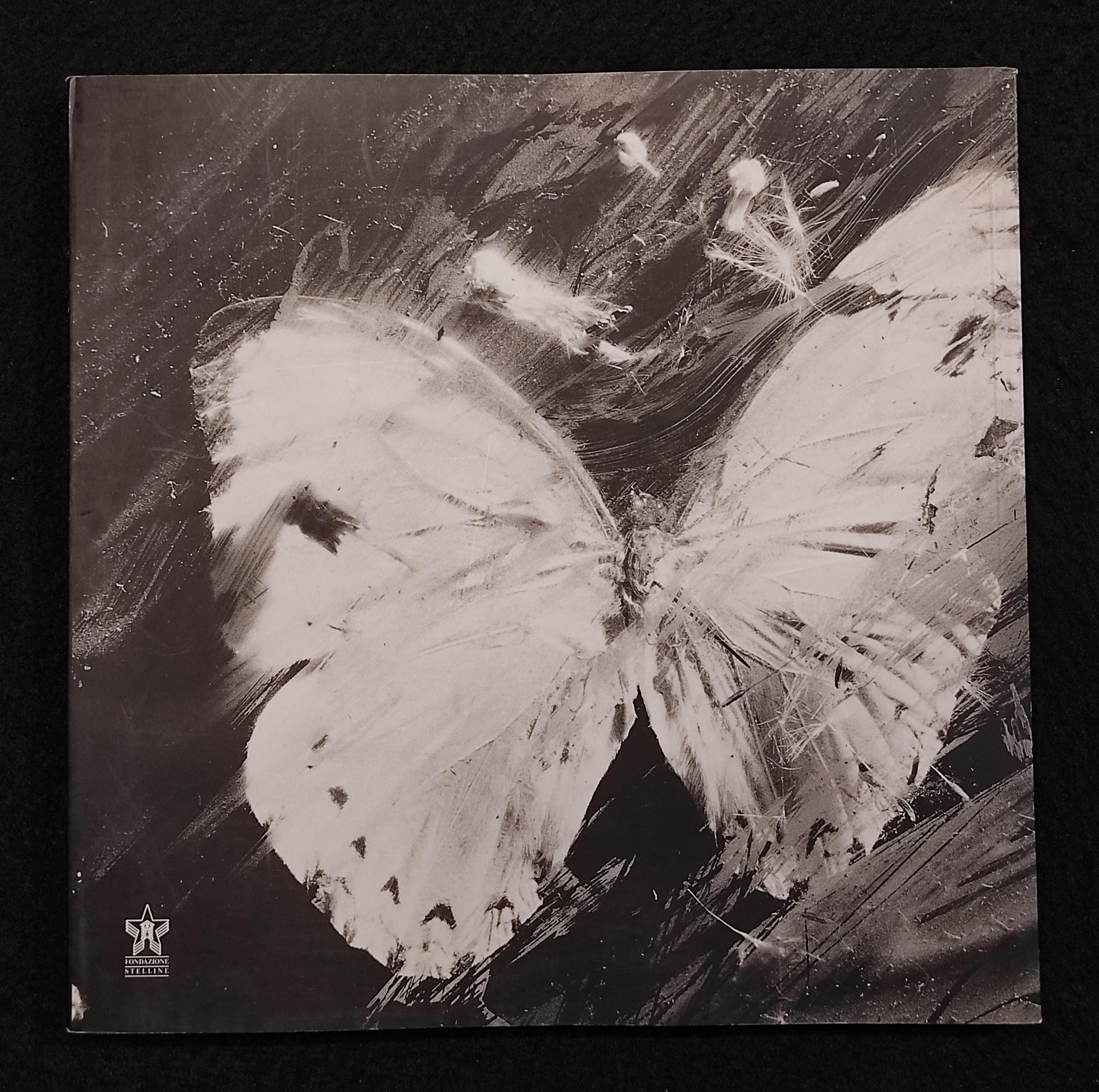 Amata Luce - Mario Carrieri - Ed. Meridiana - 2004 - Arte