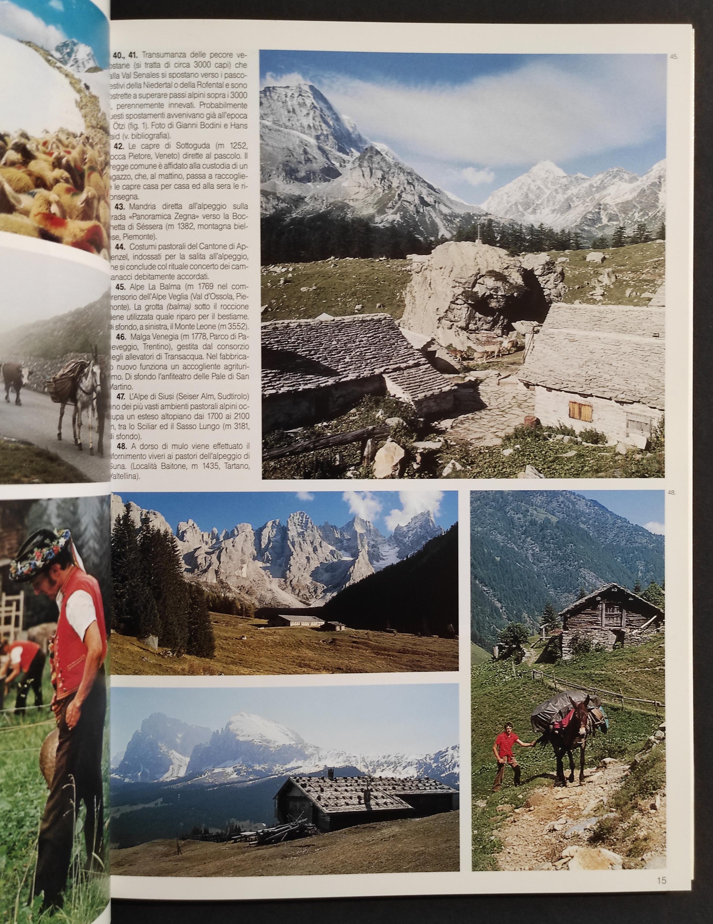 Le Alpi per Noi... e Noi per Loro? - L. Dematteis - Ed. Priuli & Verlucca - 2004