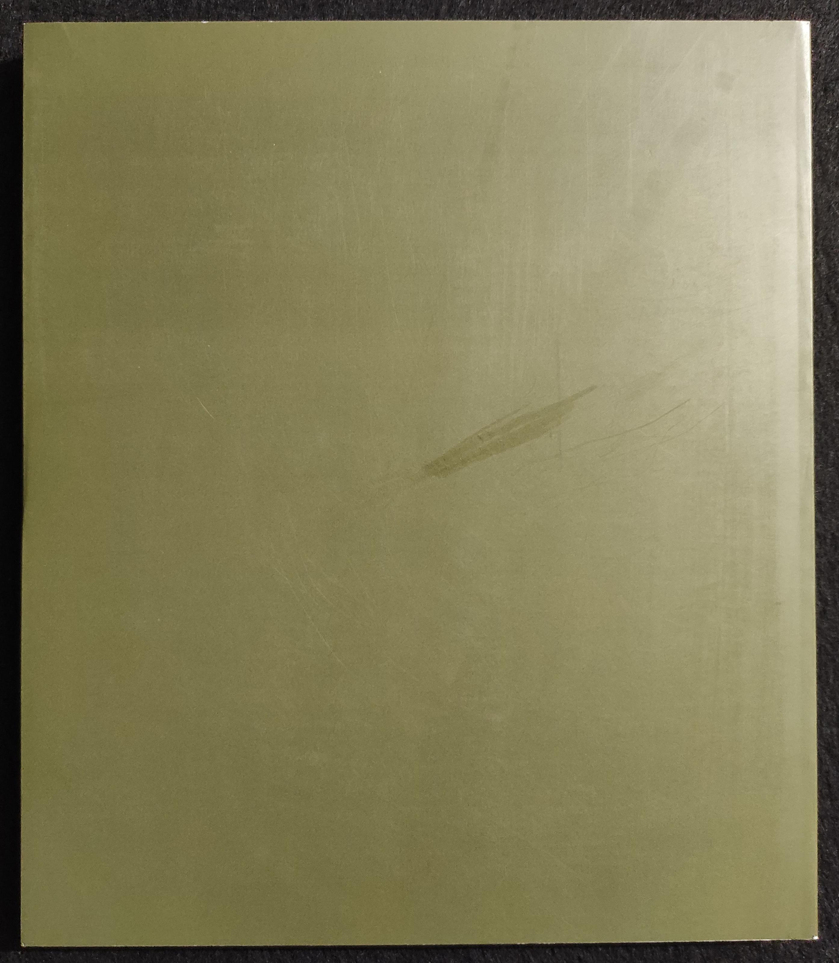 Da Pellizza A Carrà - Artisti e Paesaggio in Lomellina - Skira - 2007