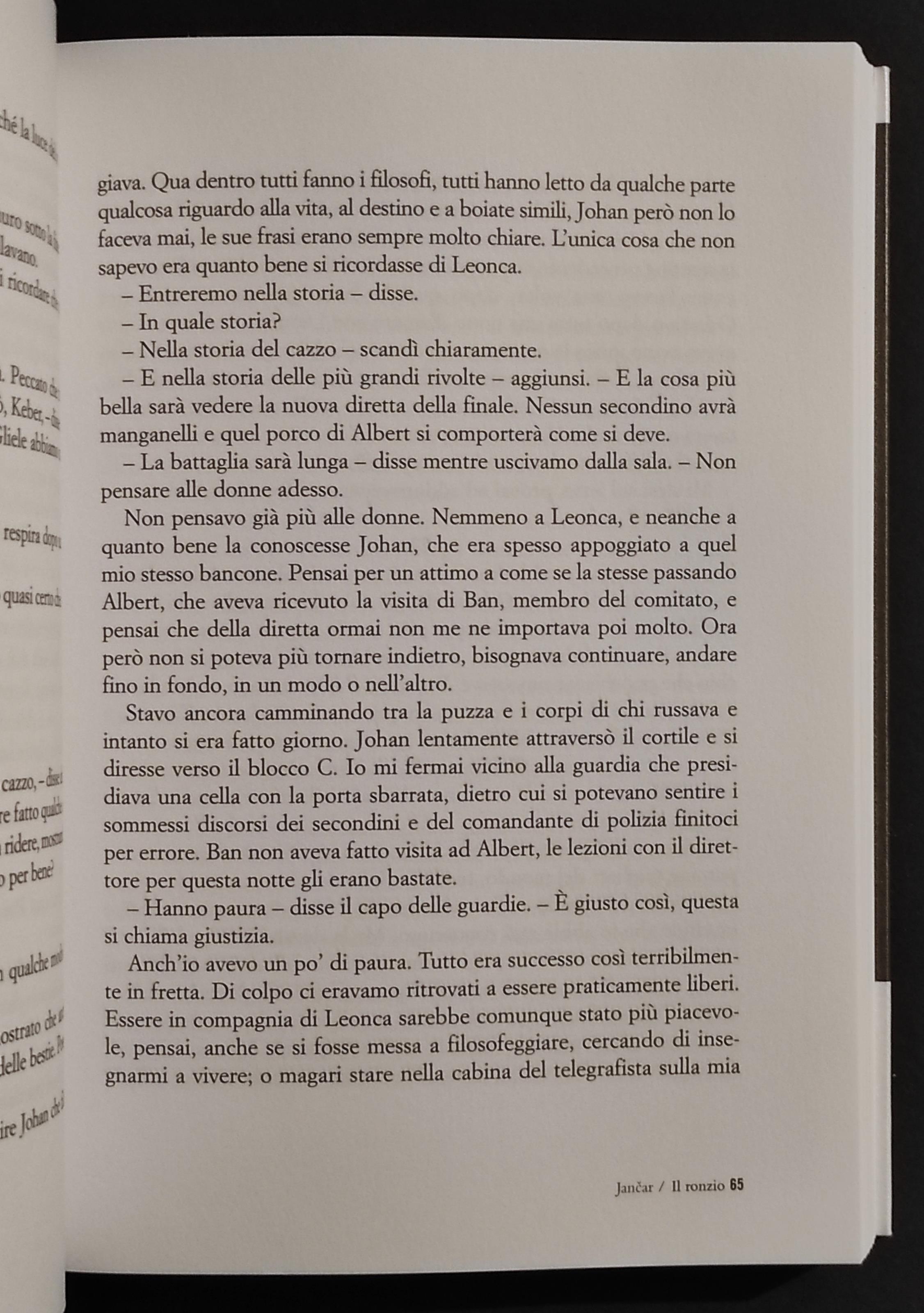 Il Ronzio - D. Jancar - Ed. Forum - 2007