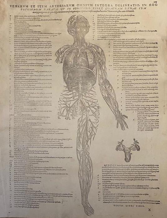 Riproduzione - copertina