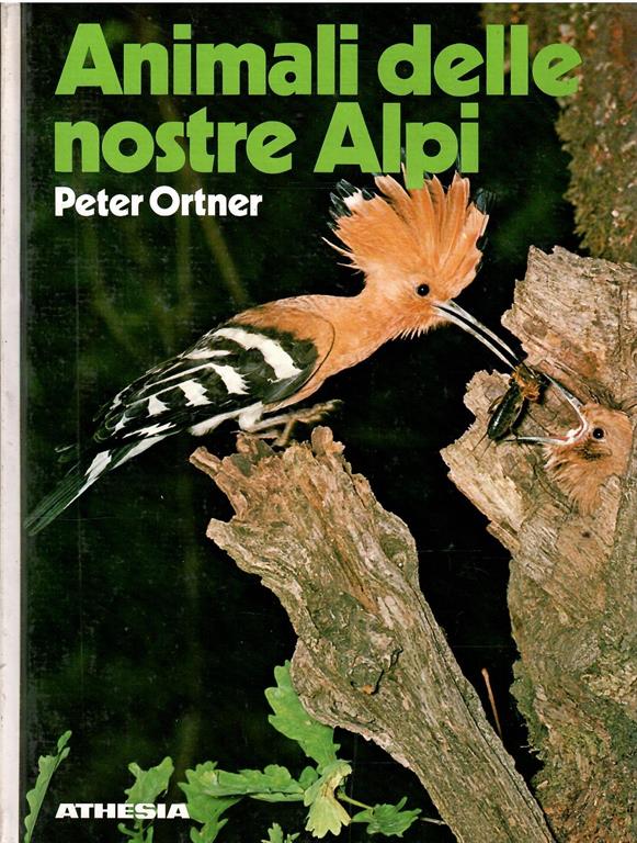 Libroteka di Fattoretti Silvia