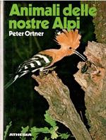 Animali Delle Nostre Alpi
