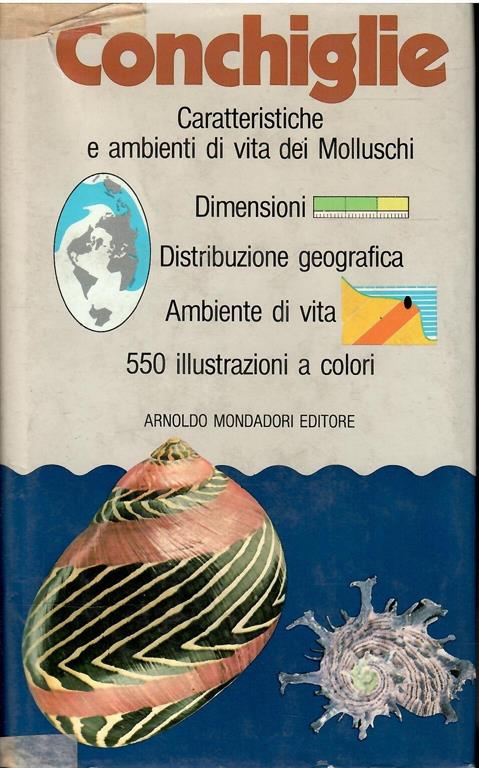 Libroteka di Fattoretti Silvia