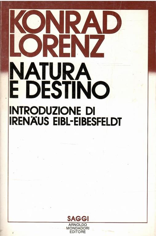 Libroteka di Fattoretti Silvia