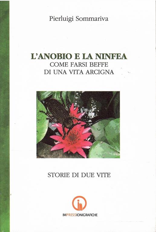 Libroteka di Fattoretti Silvia