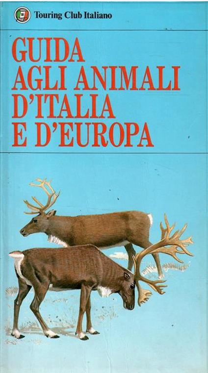 Dipingere Colorare Costruire - copertina