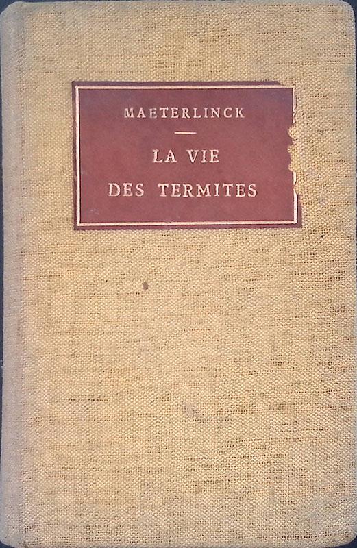 La vie des termites