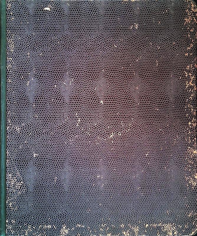 Folignolibri
