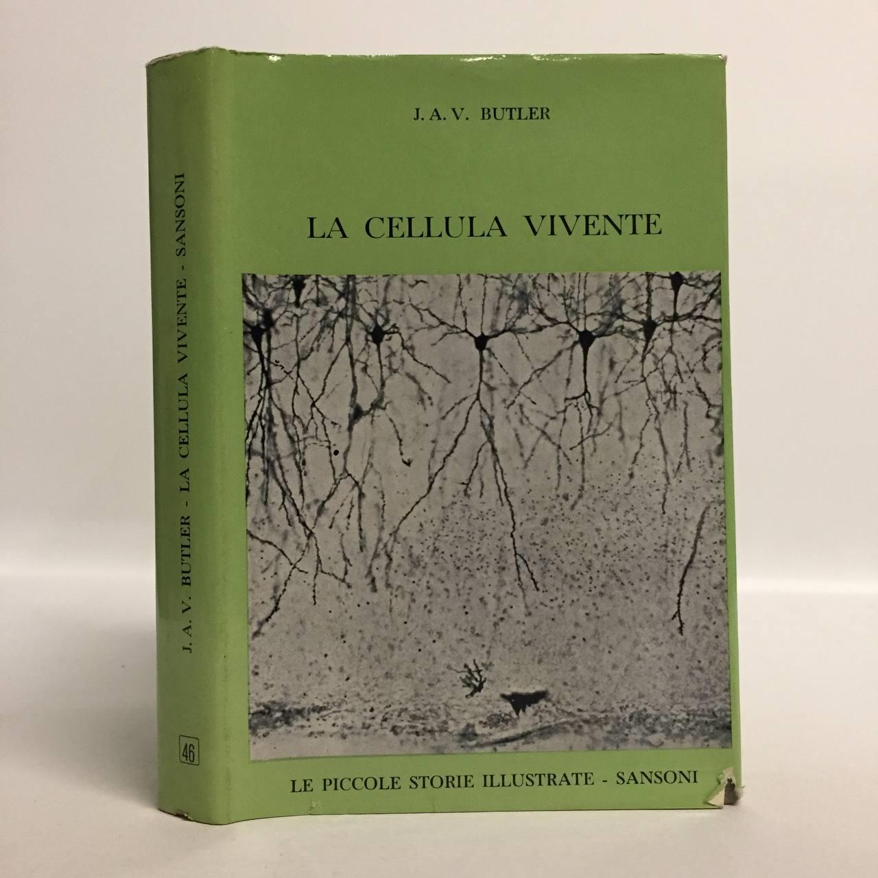 La cellula vivente. Il segreto della vita