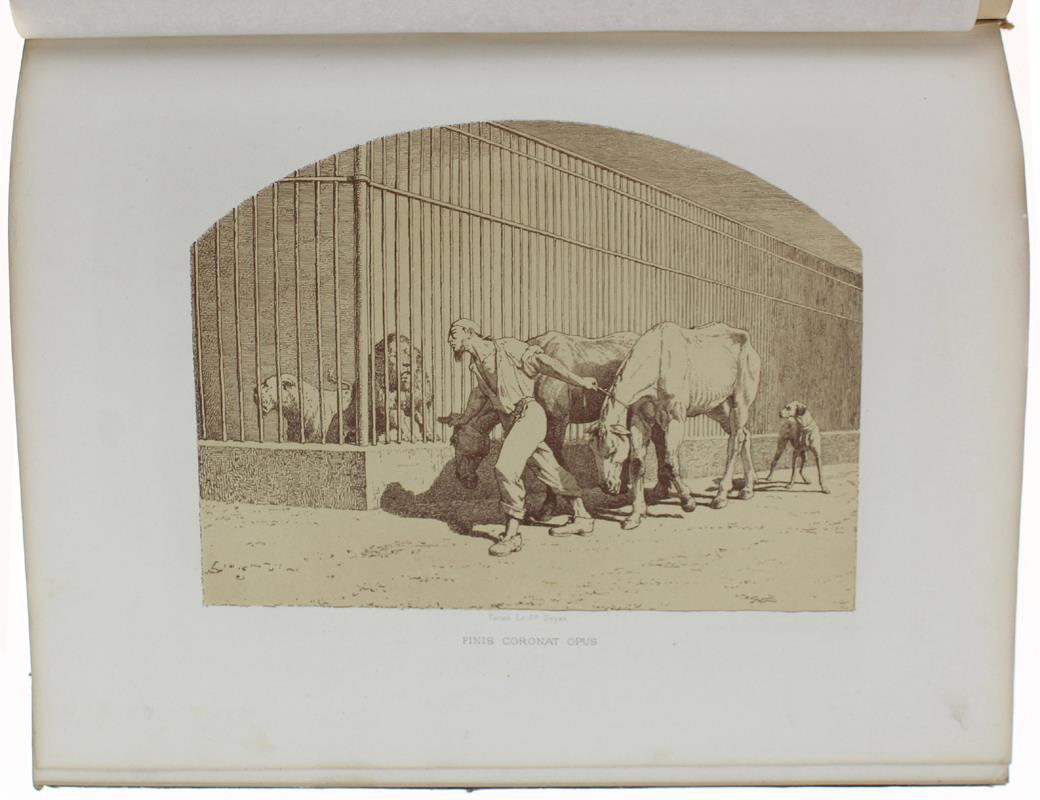 L' Arte In Italia. Rivista Mensile Di Belle Arti. Anno Quarto - 1872