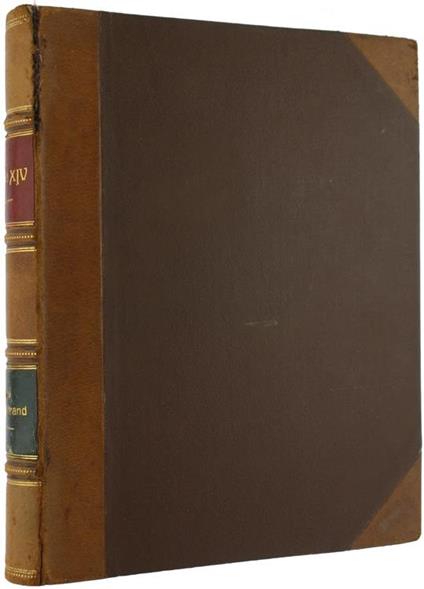 Louis Xiv - Louis Bertrand - copertina