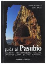 Guida Al Pasubio. Escursioni, Itinerari Storici, Gallerie. La Grande Guerra. La Storia Alpinistica