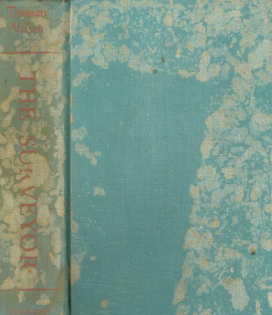 The surveyor - copertina