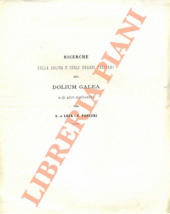 Libreria Piani