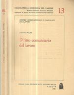 Diritto comunitario del lavoro