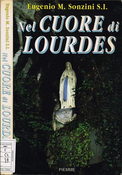 Nel cuore di Lourdes - copertina