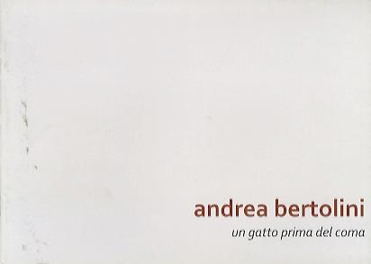Andrea Bertolini: un gatto prima del coma