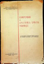 Compendio di anatomia umana normale: ad uso degli studenti delle facoltà di scienze naturali e di farmacia