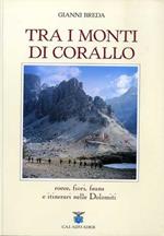 Tra i monti di corallo: rocce, fiori, fauna e itinerari nelle Dolomiti