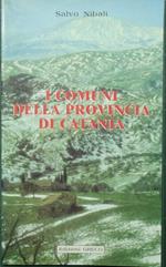 I comuni della provincia di Catania