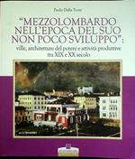 Mezzolombardo nell'epoca del suo non poco sviluppo: ville, architetture del potere e attività produttive tra 19. e 20. secolo
