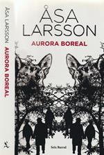 Aurora boreal
