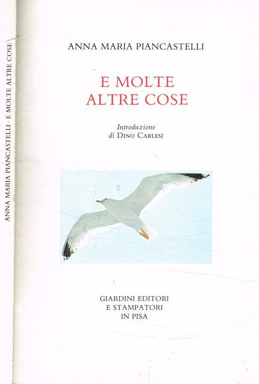 E molte altre cose - Anna Maria Piancastelli - copertina
